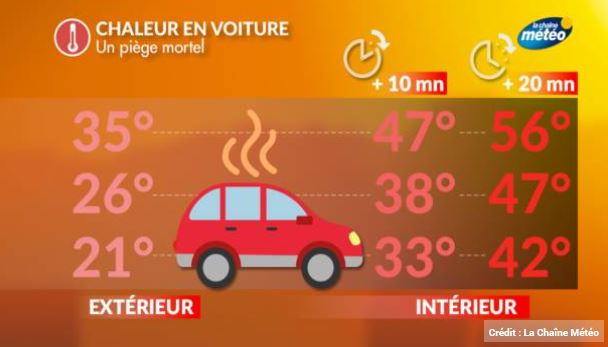 chaleur dans la voiture température stationnement